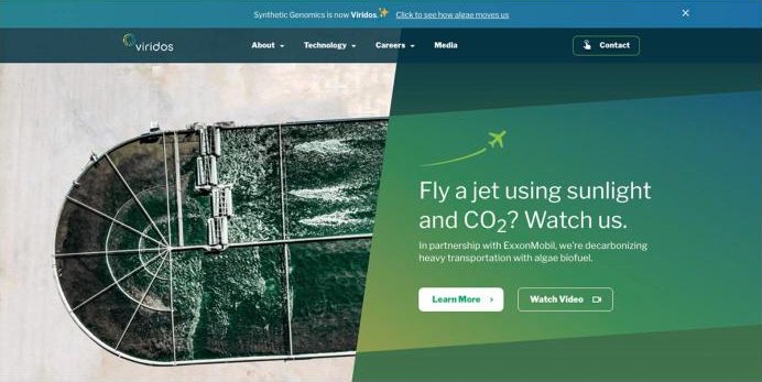 The new website